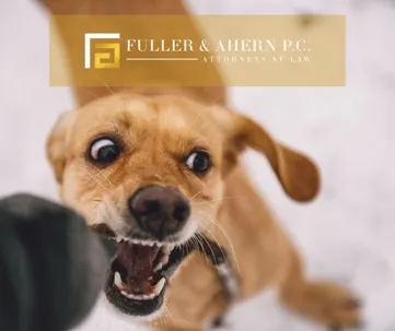 Protecting Yourself from Dog Bite Liability as a Landlord Image