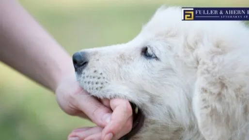 Protecting Yourself from Dog Bite Liability as a Landlord